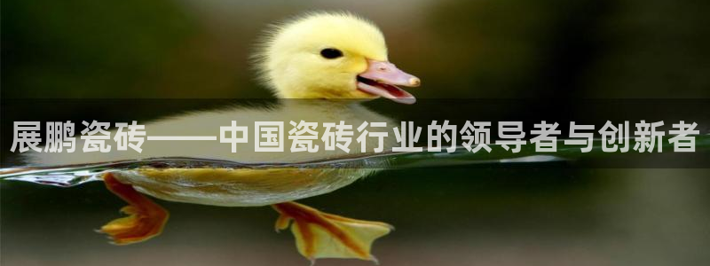 华润集团娱乐公司地址