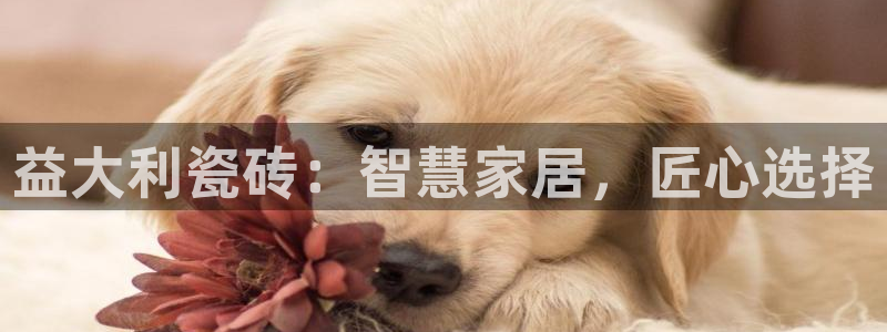 华润娱乐日5指尖