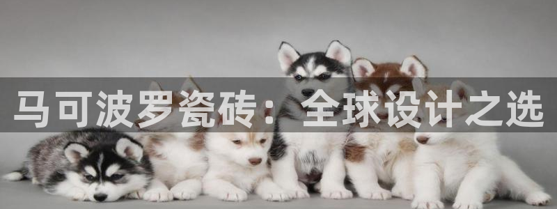 上海华润金丰娱乐娱乐