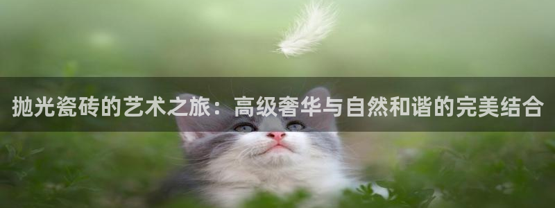 华润娱乐指尖得