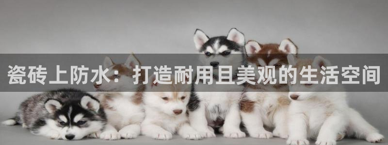 华润娱乐宋判官21