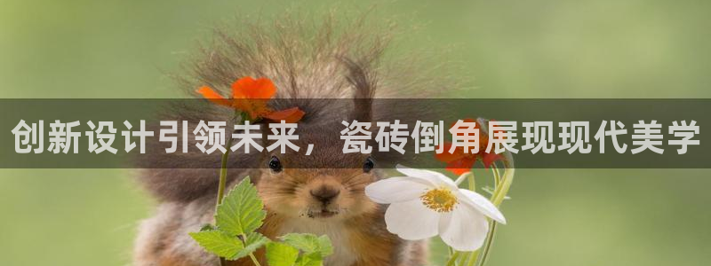 华润娱乐平台登录网址