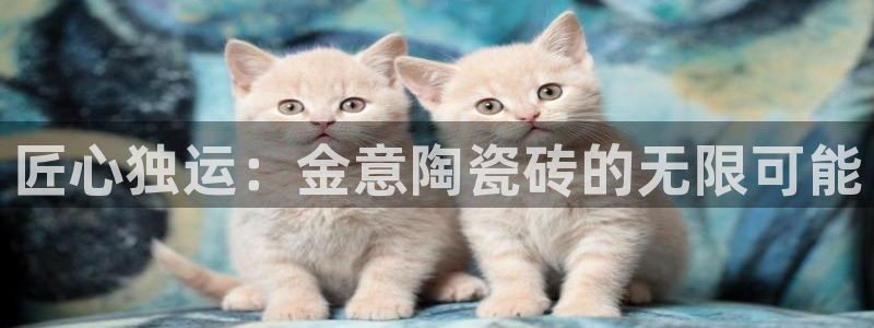 华润娱乐行政面试难吗