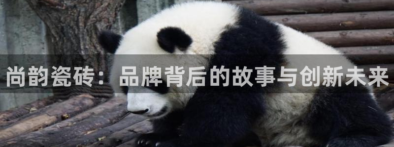 华润娱乐22yg1指尖