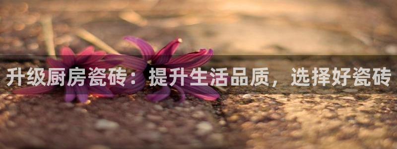 华润通休闲娱乐