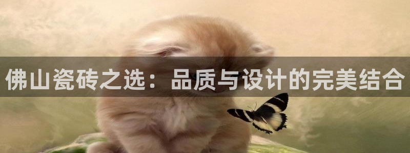 华润娱乐招商