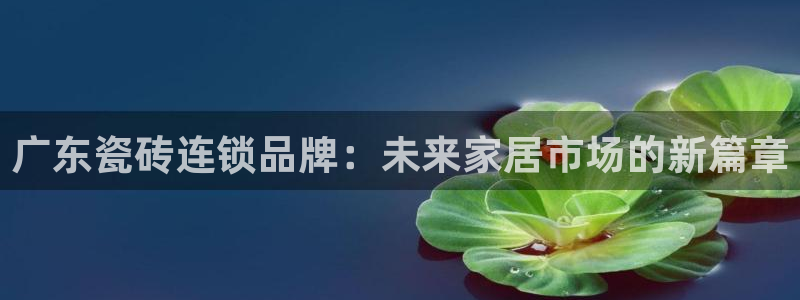 华润娱乐主