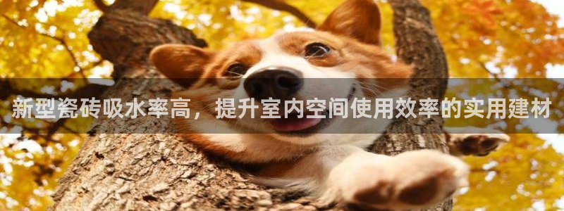 华润娱乐项目