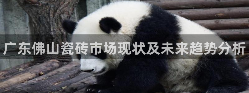 华润国际附近娱乐