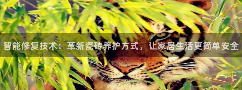 华润休闲娱乐垂钓