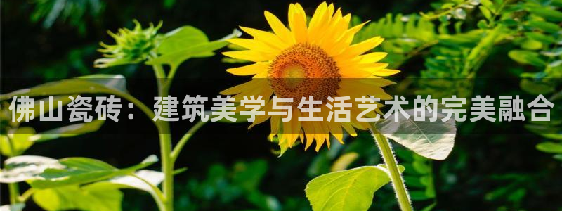 华润娱乐2主管