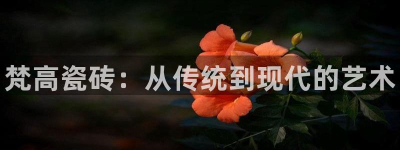 华润娱乐颗122222