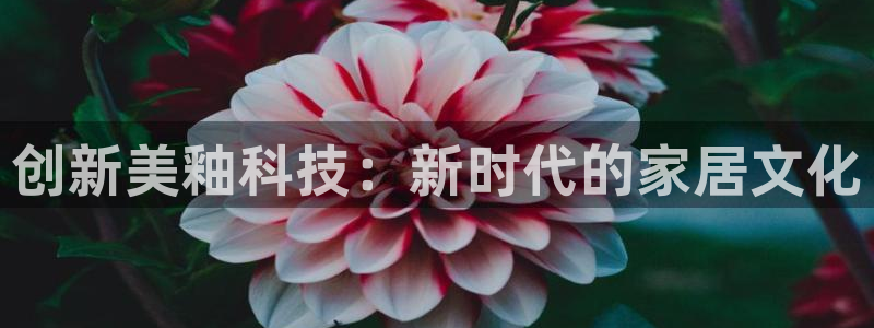 华润娱乐剐922 22