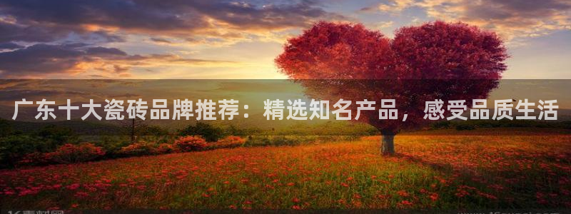 华润娱乐qv87555