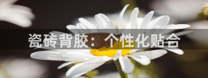 华润娱乐平台招商
