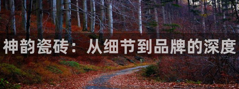 华润娱乐登录平台