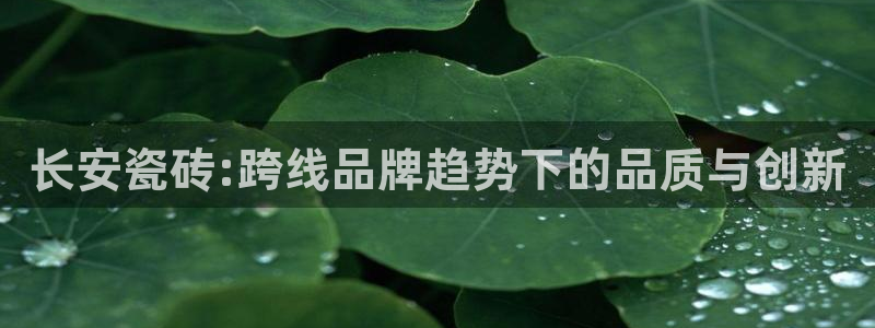 华润娱乐虏122222