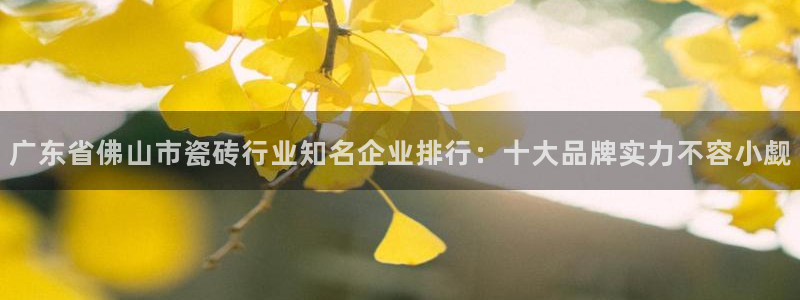 华润娱乐蚁122222