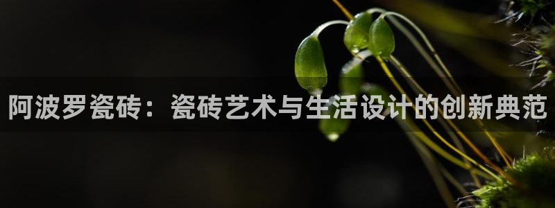 华润通积分娱乐大厅欢乐