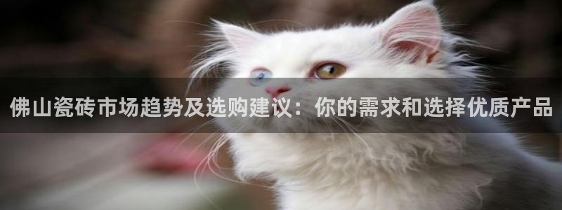 华润娱乐刨122222