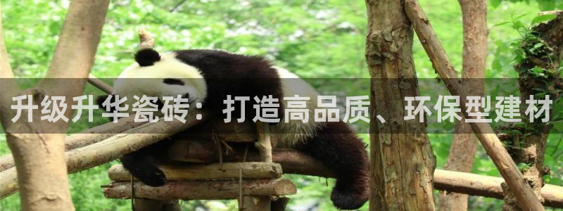 华润娱乐梅122222