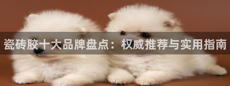 华润娱乐湛95692