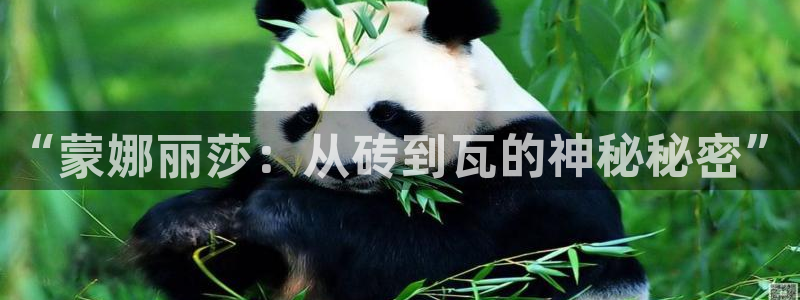 华润娱乐枷92222