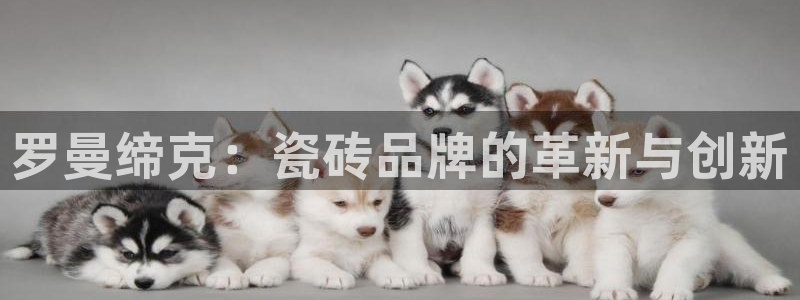 华润娱乐j3指尖