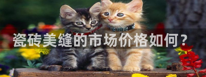 华润娱乐位92222