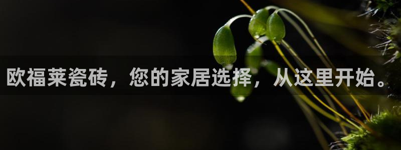 华润三九 娱乐营销