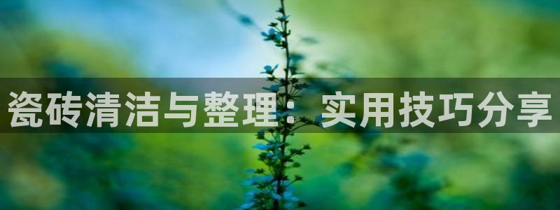 华润通积分娱乐大厅